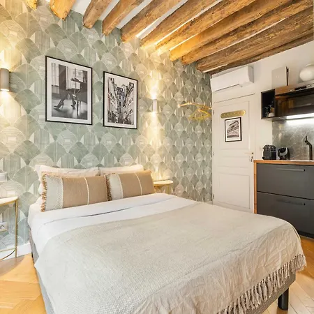 Superb Historical Next To Louvre And Opera Апартаменты Париж