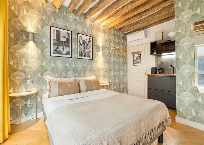 Superb Historical Next To Louvre And Opera Apartment Paris