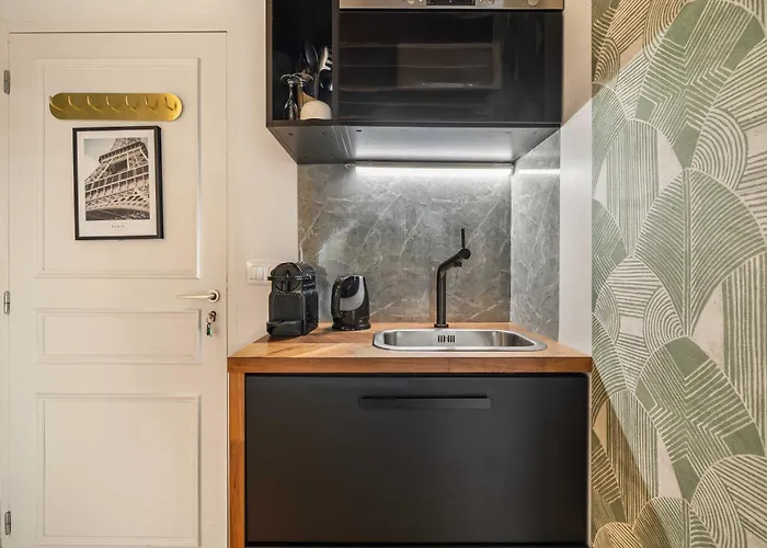 Superb Historical Next To Louvre And Opera Apartment