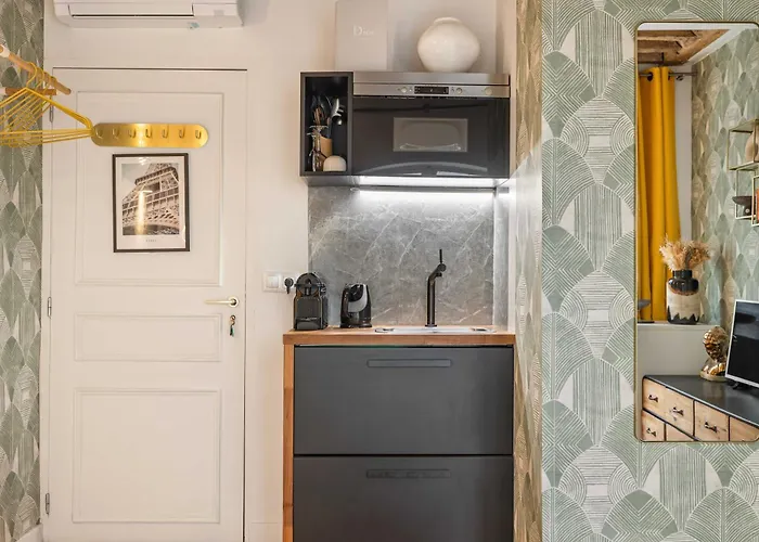 Apartment Superb Historical Next To Louvre And Opera